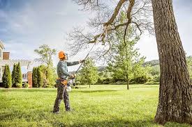 Landscape Design and Installation in Athens, TX